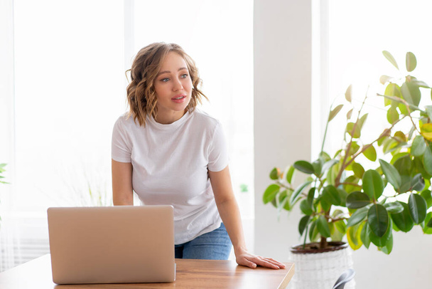 Business woman using laptop standing near desk white office interior with houseplant looking a side Business people Business person Online, Young and successful Dresed white shirt and jeans - Фото, зображення