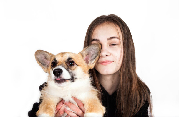 Caucasian teenage girl with corgi dog puppy - Фото, изображение