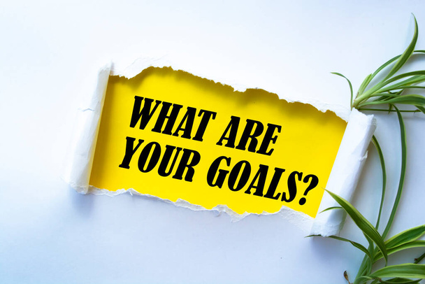 Text sign showing What are your goals? - Foto, Bild
