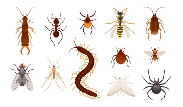 Set von verschiedenen Insekten gefährlich und schädlich für den Menschen Vektorillustration auf weißem Hintergrund. - Vektor, Bild