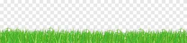 Izolované průsvitné pozadí trávy - Vektor, obrázek