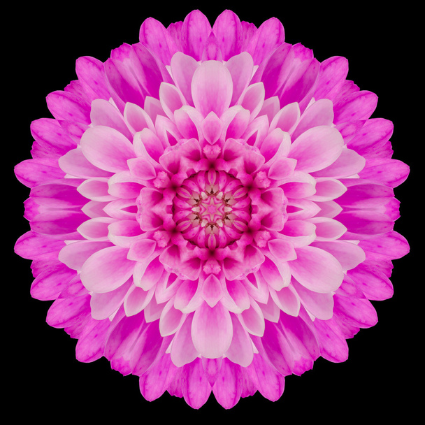 Pink Mandala Flower Kaleidoscope Isolated on Black - 写真・画像