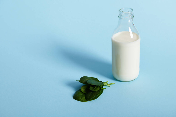 High angle view of a small glass bottle with organic milk and spinach leaves on blue background. concepts shot with soft shadow, copy space - Photo, Image