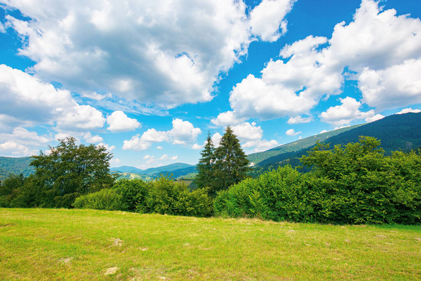 rural landscape in carpathian mountains. summer nature scenery with trees on the meadow. fluffy clouds on the bright blue sky. beautiful view in to the distant hills and valley - Photo, Image