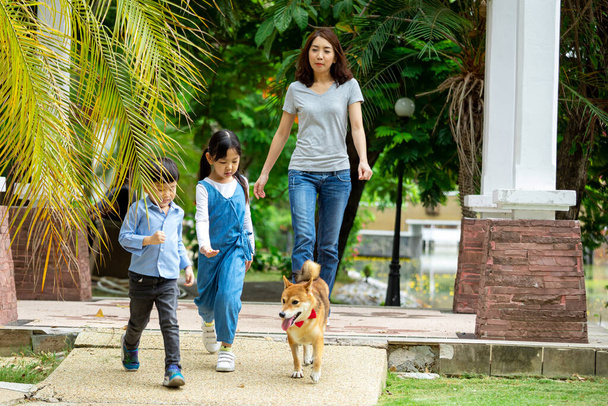 Asian mother and two kids walking together with Shiba inu dog in public park. Happy family with pet - Photo, Image