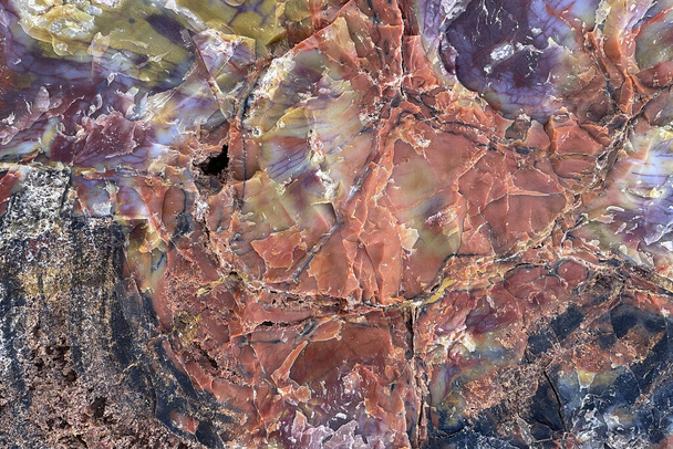 Close-up of petrified wood, Petrified Forest National Park, Arizona, USA - Φωτογραφία, εικόνα