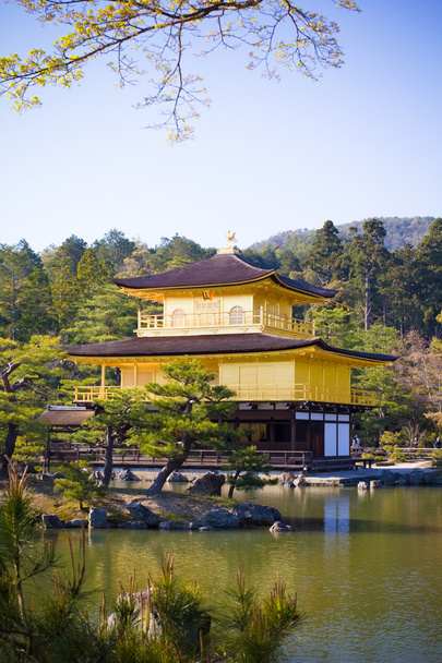 Kinkakuji Temple (Złoty Pawilon) w Kioto, Japonia - Zdjęcie, obraz