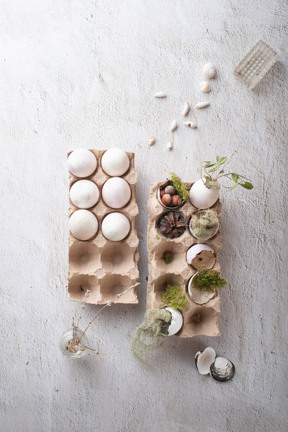 white Easter decor in the form of an eggshell in an egg box. The concept of hatched chicks and an abandoned nest in a forest overgrown with moss with dry leaves, cones and nuts. - Φωτογραφία, εικόνα