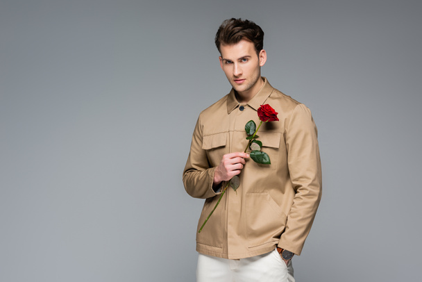 stylish man holding red rose while posing isolated on grey - Fotoğraf, Görsel