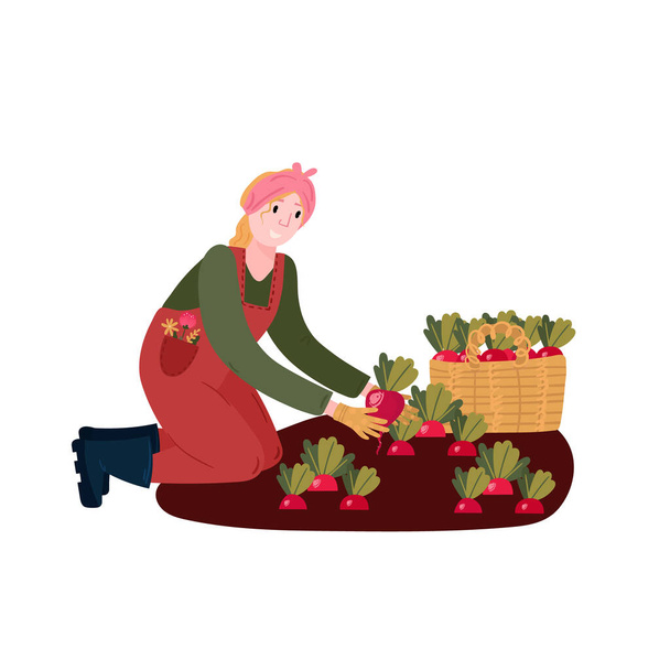 Woman harvesting organic radishes. Farmer grow vegetables in farm. Female cultivation eco radish in garden. Person in overall, rubber boots and gloves farming with plant. - Vektör, Görsel