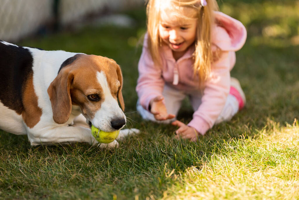 Child playing with dog on grass. - 写真・画像