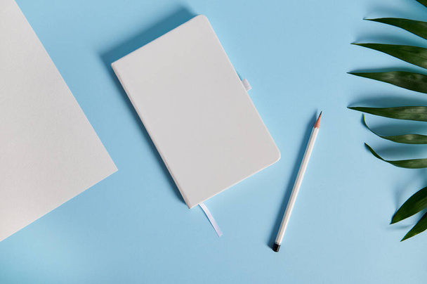 Білий олівець і щоденний поблизу пальмового листя на біколорному синьо-білому тлі. Простір для тексту
 - Фото, зображення