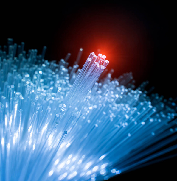 üvegszálas optikai hálózati kábel az ultra gyors internetes kommunikációhoz - Fotó, kép