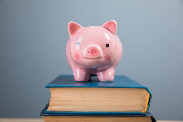 piggy bank on books on gray background - Foto, Bild