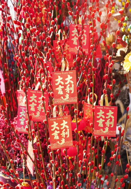Lucky knot hanging on flower for Chinese new year greeting,Chinese character means good blessing for new year - Photo, Image