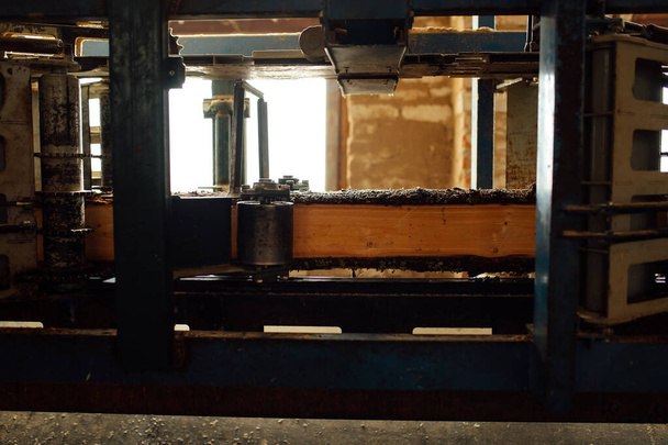bordo di legno sul trasportatore. la gente lavora su una segheria automatizzata. impresa industriale per la lavorazione del legno. un lavoratore porta una tavola per segare - Foto, immagini