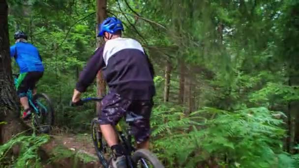dos jóvenes ciclistas de montaña paseando por el bosque. Deporte y recreación en la naturaleza, estilo de vida saludable y ecoturismo - Imágenes, Vídeo