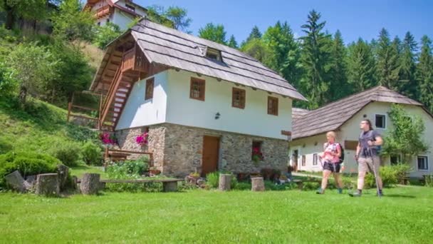 Μπροστά άποψη του ζευγαριού πεζοπορία στο γρασίδι σε ηλιόλουστη μέρα κοντά σε ορεινά σπίτια - Πλάνα, βίντεο