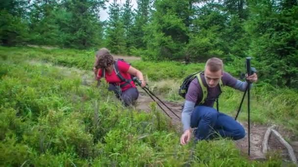 Mladý muž a žena turisté, sbírat a jíst divoké bobule na boku lesní stezky - Záběry, video