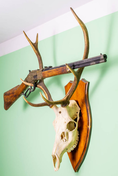 cuernos de ciervo. Trofeo de caza de ciervos en barbecho. con una vieja escopeta Winchester - Foto, imagen