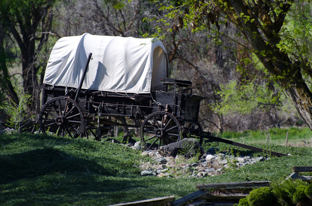 Covered Wagon en el desierto
 - Foto, imagen