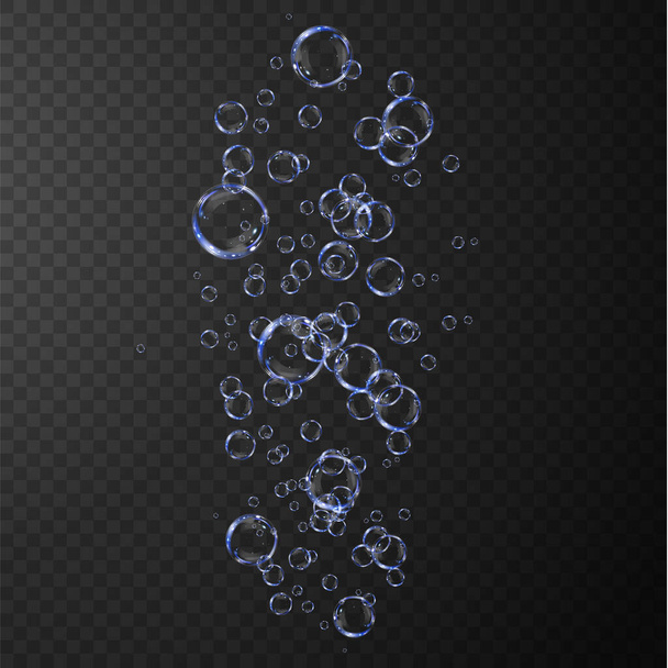 Colección de burbujas de jabón realistas. Las burbujas se encuentran sobre un fondo transparente. Vector burbujas de jabón volador - Vector, imagen