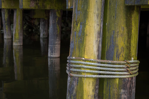 Close-up detail of decay, texture and green algae on nautical wood pilings underneath a seaside pier or dock. - Photo, Image