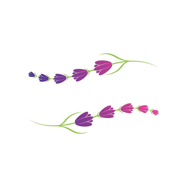 Lavanta çiçeği logo sembolü şablon vektörü - Vektör, Görsel