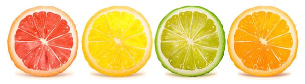 Realistic Detailed 3d Fresh Ripe Sliced Fruits Orange Lime and Lemon Set. Vector - Vetor, Imagem