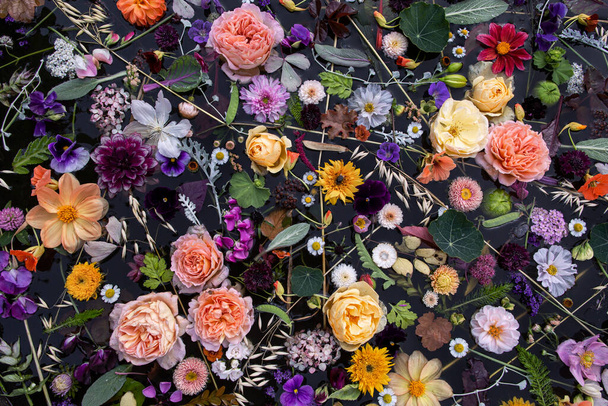 Blumen Zusammensetzung auf der Wasseroberfläche, Garten blumig, schwarzer Hintergrund, Draufsicht - Foto, Bild
