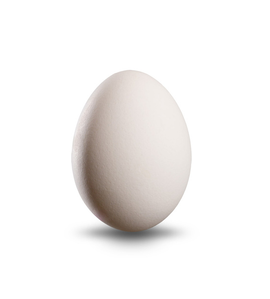 Beyaz yumurta - Fotoğraf, Görsel