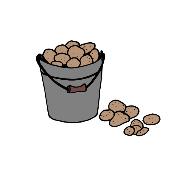 A metal gray bucket filled with potatoes. Collection and storage of seasonal vegetables. Flat vector illustration in doodle style. - Wektor, obraz