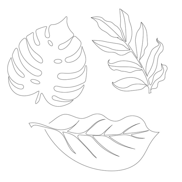Folhas tropicais em estilo doodle. Vector mão desenhada elementos de design de linha preta. Ilustrações botânicas exóticas de verão. - Vetor, Imagem
