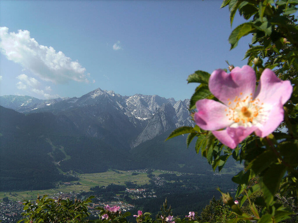 Zugspitze massief in Wetterstein gebergte in Beieren, Duitsland in het voorjaar - Foto, afbeelding