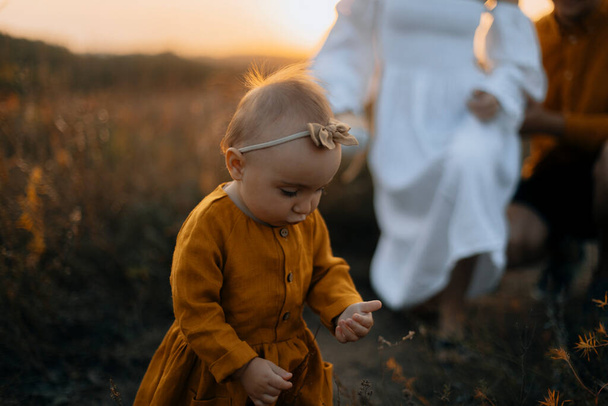baby collects grass in the field. a little girl in a brown dress stands in the middle of a field at a beautiful sunset. portrait of a little girl with her parents on the background. - 写真・画像