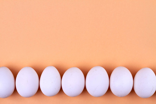 White eggs line and copy space. - Photo, Image