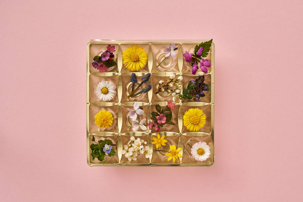 Spring concept - empty box of chocolates filled with various wild plants growing in april - Photo, Image