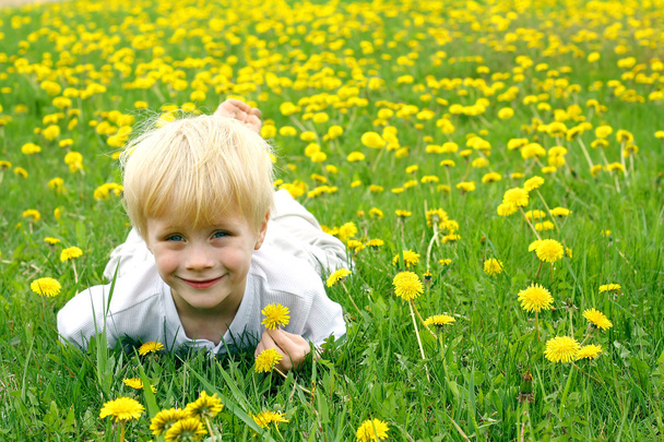 słodkie dziecko, układanie na łące kwiatów mniszka - Zdjęcie, obraz