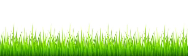 Frontera de hierba verde aislada sobre fondo blanco. Césped o prado textura natural. Tema de primavera. Dibujos animados vectoriales ilustración - Vector, imagen
