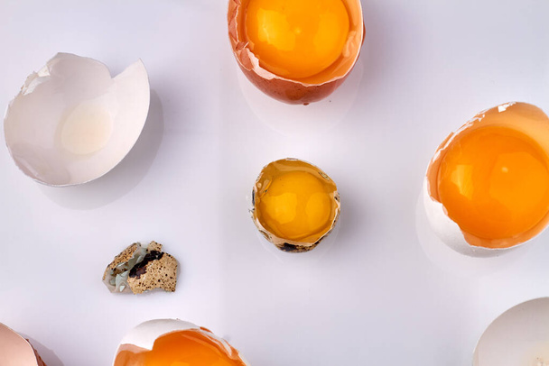 Top view egg yolks in eggshells. - Photo, Image