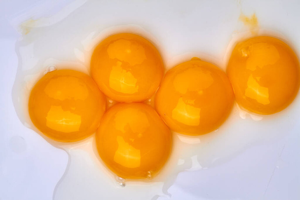 Close-up shiny chicken egg yolks. - Photo, Image