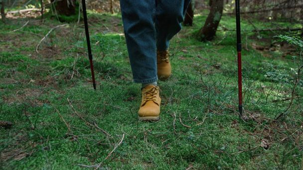 Viajera caminando en el bosque de verano. Caminante con bastones de trekking al aire libre - Foto, imagen