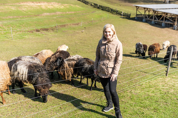 Donna che accarezza gregge di pecore - Foto, immagini