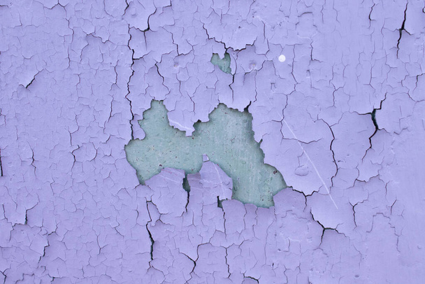 Törött lila olajfesték az öregített fémfelületen. Király grunge ropogós textúra. Törött minta. Festékhámlás a falon. - Fotó, kép