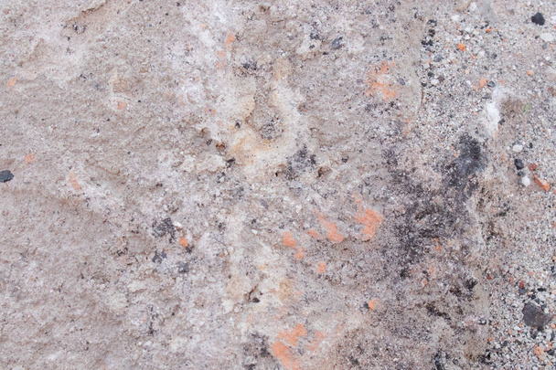 textura de la pared de hormigón de piedra. ladrillo de arena agrietado. fondo pastel sólido.  - Foto, imagen