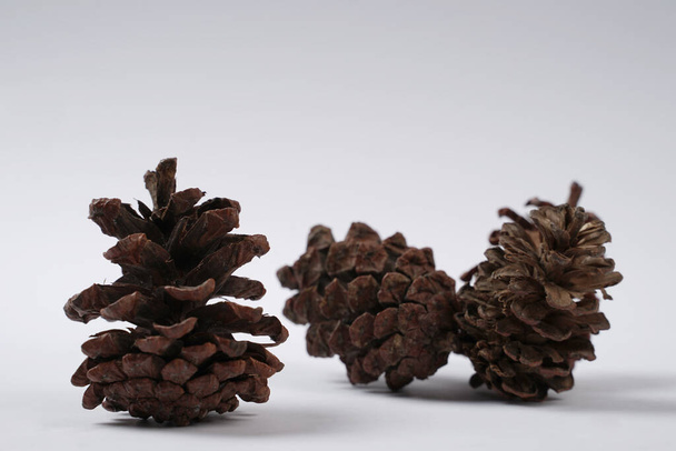 Dried pine cones for bedroom accessories or photo studio props. Pinecone isolated on white background.  - Foto, imagen
