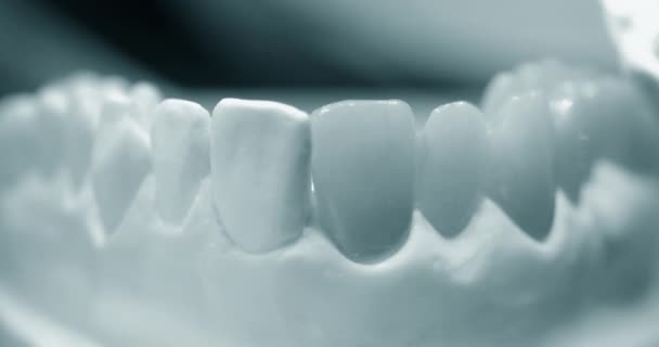 Μοντέλο ανθρώπινων δοντιών με τεχνητά δόντια close-up - Πλάνα, βίντεο