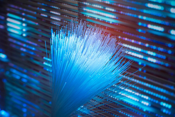 Cable de red de fibra óptica sobre fondo tecnológico - Foto, Imagen