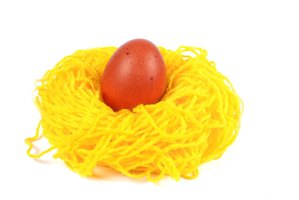 Un œuf dans un nid, qui est attaché de fils sur un fond blanc. - Photo, image