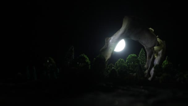 Τεράστιο κόκκαλο ζώου στο σκοτάδι. Νύχτα με ομίχλη και φως στο φόντο. Επιλεκτική εστίαση - Πλάνα, βίντεο